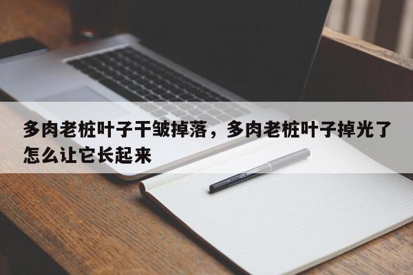 多肉老桩叶子干皱掉落，多肉老桩叶子掉光了怎么让它长起来-第1张图片-我家生活百科