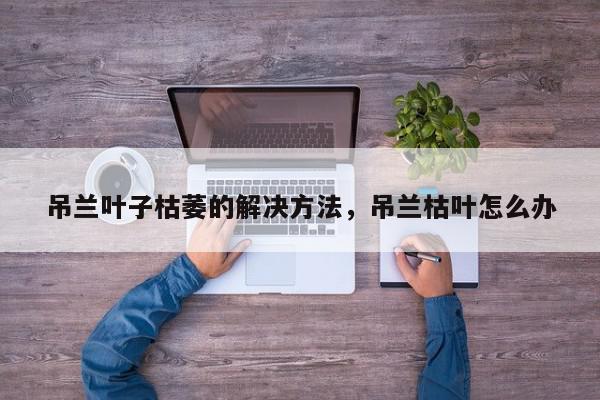 吊兰叶子枯萎的解决方法，吊兰枯叶怎么办-第1张图片-我家生活百科