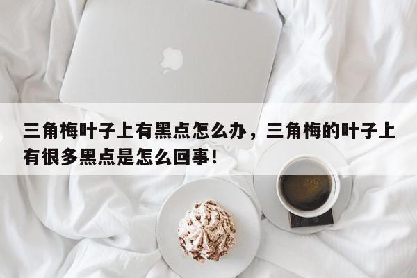 三角梅叶子上有黑点怎么办，三角梅的叶子上有很多黑点是怎么回事！-第1张图片-我家生活百科