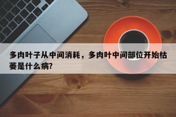 多肉叶子从中间消耗，多肉叶中间部位开始枯萎是什么病？-第1张图片-我家生活百科