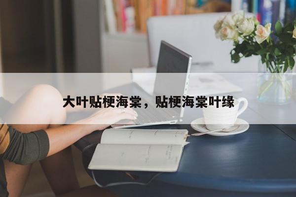 大叶贴梗海棠，贴梗海棠叶缘-第1张图片-我家生活百科