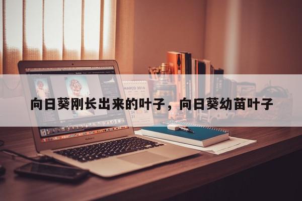 向日葵刚长出来的叶子，向日葵幼苗叶子-第1张图片-我家生活百科
