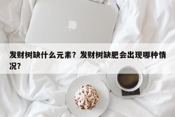 发财树缺什么元素？发财树缺肥会出现哪种情况？-第1张图片-我家生活百科