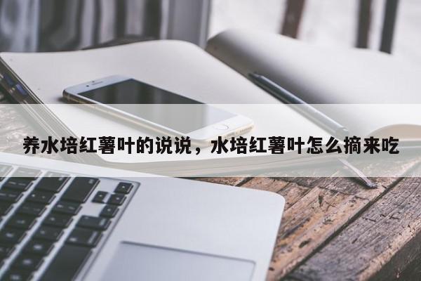 养水培红薯叶的说说，水培红薯叶怎么摘来吃-第1张图片-我家生活百科