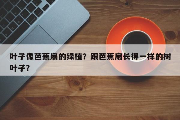 叶子像芭蕉扇的绿植？跟芭蕉扇长得一样的树叶子？-第1张图片-我家生活百科
