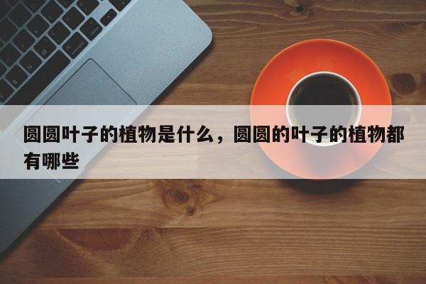 圆圆叶子的植物是什么，圆圆的叶子的植物都有哪些-第1张图片-我家生活百科