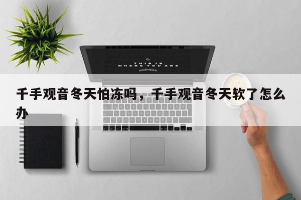 千手观音冬天怕冻吗，千手观音冬天软了怎么办-第1张图片-我家生活百科