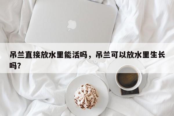 吊兰直接放水里能活吗，吊兰可以放水里生长吗？-第1张图片-我家生活百科