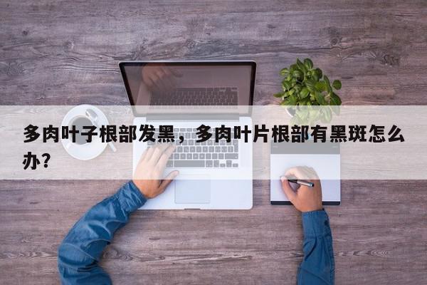 多肉叶子根部发黑，多肉叶片根部有黑斑怎么办？-第1张图片-我家生活百科