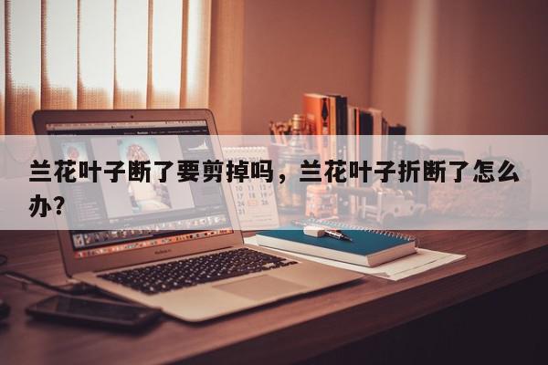 兰花叶子断了要剪掉吗，兰花叶子折断了怎么办？-第1张图片-我家生活百科
