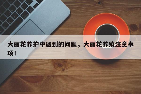 大丽花养护中遇到的问题，大丽花养殖注意事项！-第1张图片-我家生活百科