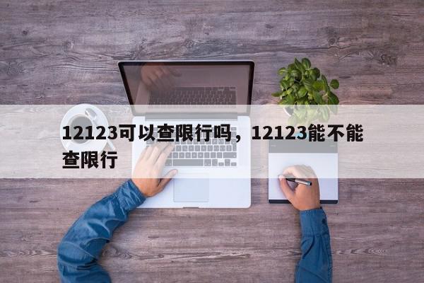 12123可以查限行吗，12123能不能查限行-第1张图片-我家生活百科