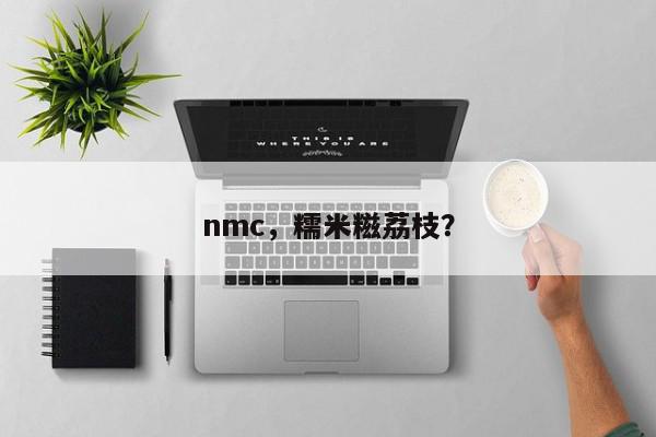 nmc，糯米糍荔枝？-第1张图片-我家生活百科