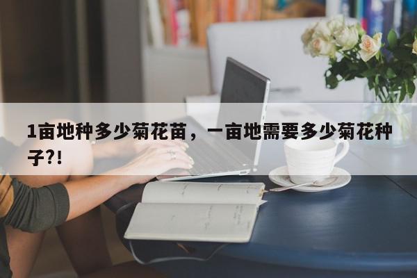 1亩地种多少菊花苗，一亩地需要多少菊花种子?！-第1张图片-我家生活百科
