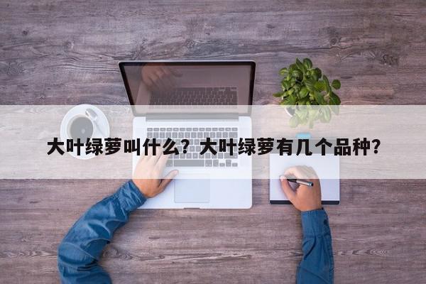 大叶绿萝叫什么？大叶绿萝有几个品种？-第1张图片-我家生活百科