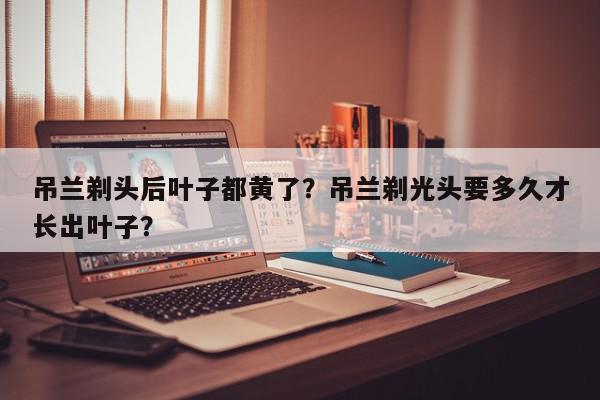 吊兰剃头后叶子都黄了？吊兰剃光头要多久才长出叶子？-第1张图片-我家生活百科