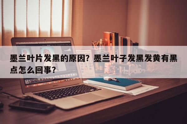 墨兰叶片发黑的原因？墨兰叶子发黑发黄有黑点怎么回事？-第1张图片-我家生活百科