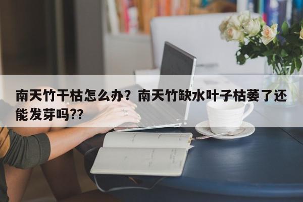南天竹干枯怎么办？南天竹缺水叶子枯萎了还能发芽吗?？-第1张图片-我家生活百科