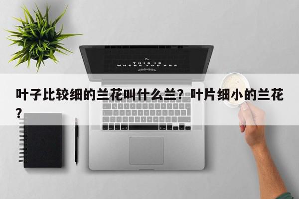 叶子比较细的兰花叫什么兰？叶片细小的兰花？-第1张图片-我家生活百科