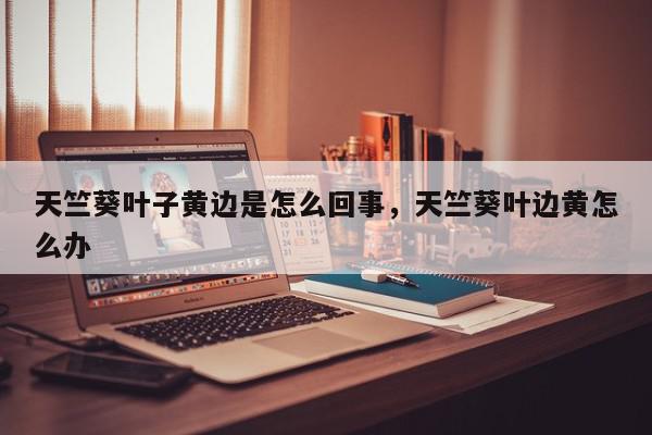 天竺葵叶子黄边是怎么回事，天竺葵叶边黄怎么办-第1张图片-我家生活百科