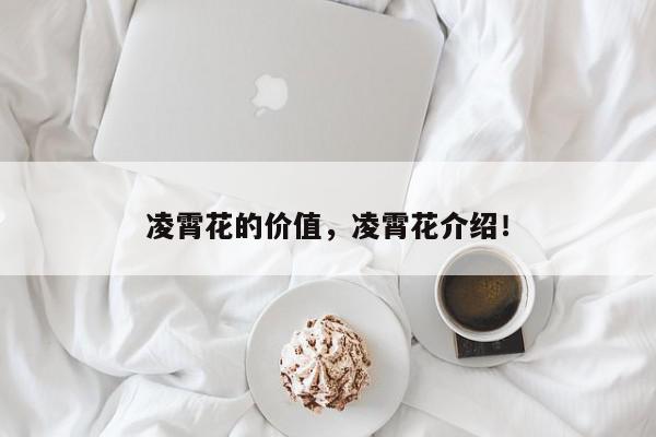 凌霄花的价值，凌霄花介绍！-第1张图片-我家生活百科