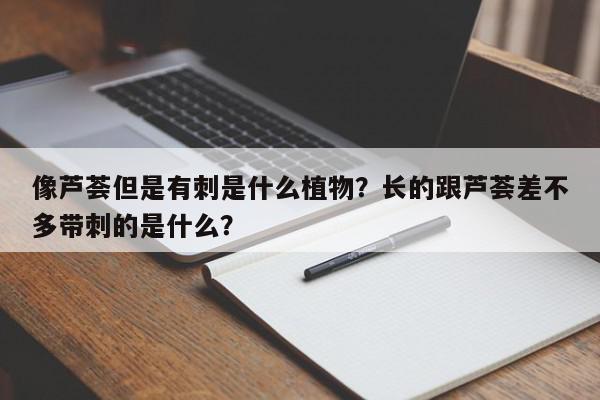 像芦荟但是有刺是什么植物？长的跟芦荟差不多带刺的是什么？-第1张图片-我家生活百科