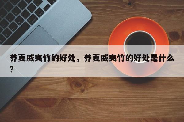养夏威夷竹的好处，养夏威夷竹的好处是什么？-第1张图片-我家生活百科