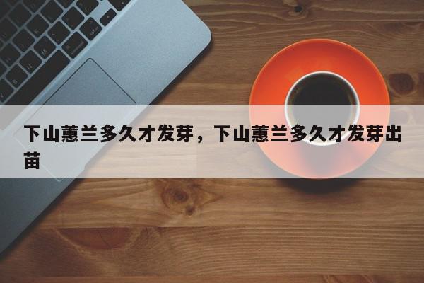 下山蕙兰多久才发芽，下山蕙兰多久才发芽出苗-第1张图片-我家生活百科