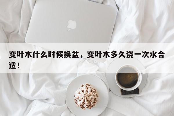 变叶木什么时候换盆，变叶木多久浇一次水合适！-第1张图片-我家生活百科