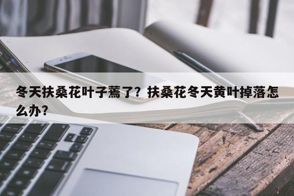 冬天扶桑花叶子蔫了？扶桑花冬天黄叶掉落怎么办？-第1张图片-我家生活百科