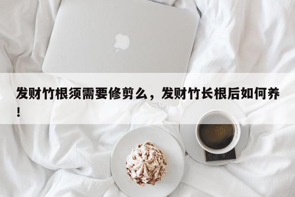 发财竹根须需要修剪么，发财竹长根后如何养！-第1张图片-我家生活百科