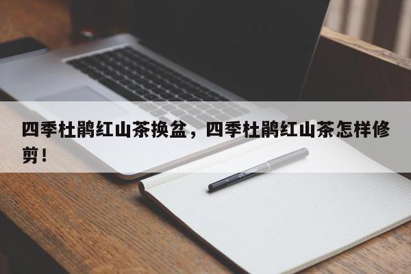 四季杜鹃红山茶换盆，四季杜鹃红山茶怎样修剪！-第1张图片-我家生活百科