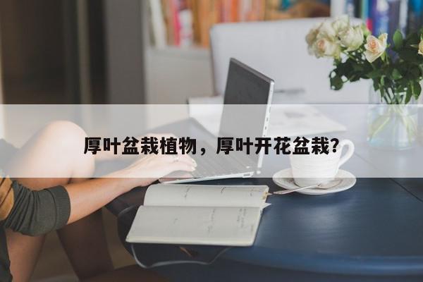 厚叶盆栽植物，厚叶开花盆栽？-第1张图片-我家生活百科
