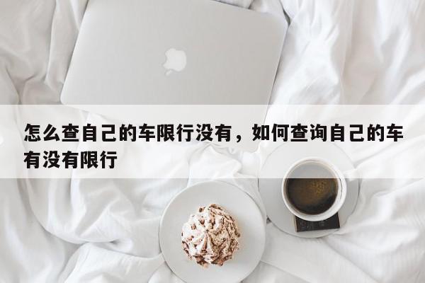 怎么查自己的车限行没有，如何查询自己的车有没有限行-第1张图片-我家生活百科