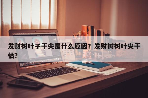 发财树叶子干尖是什么原因？发财树树叶尖干枯？-第1张图片-我家生活百科