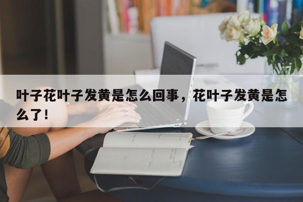 叶子花叶子发黄是怎么回事，花叶子发黄是怎么了！-第1张图片-我家生活百科
