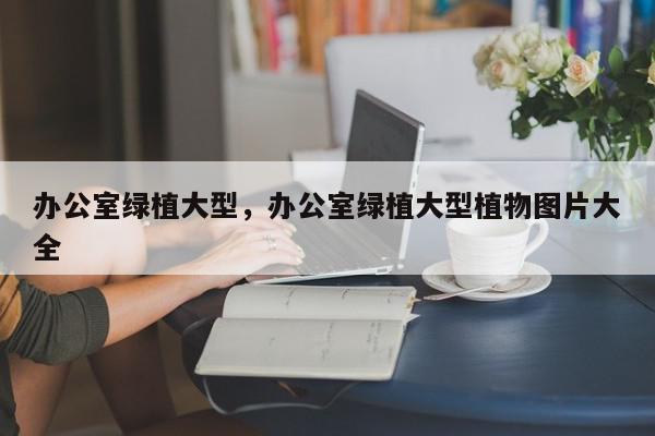 办公室绿植大型，办公室绿植大型植物图片大全-第1张图片-我家生活百科