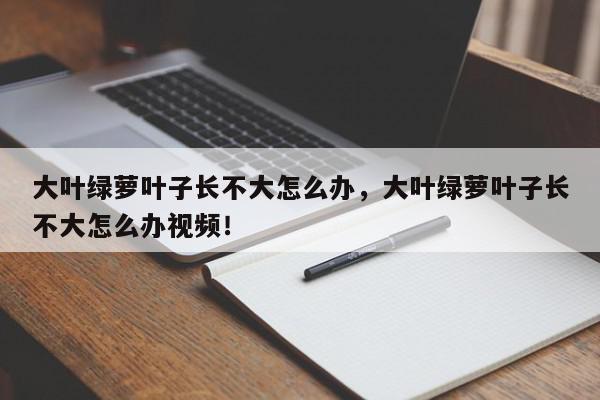 大叶绿萝叶子长不大怎么办，大叶绿萝叶子长不大怎么办视频！-第1张图片-我家生活百科