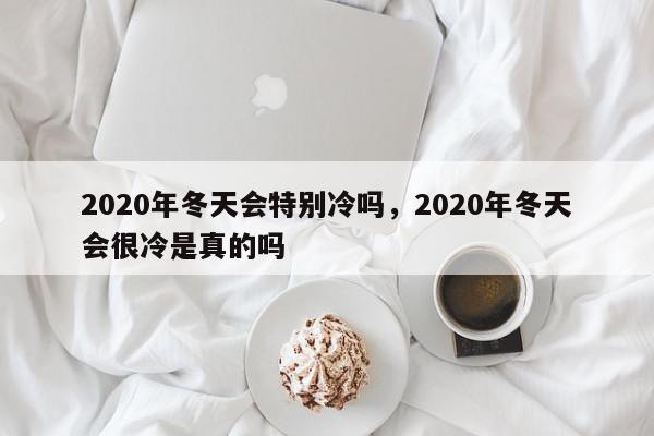 2020年冬天会特别冷吗，2020年冬天会很冷是真的吗-第1张图片-我家生活百科