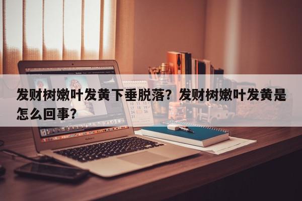 发财树嫩叶发黄下垂脱落？发财树嫩叶发黄是怎么回事？-第1张图片-我家生活百科