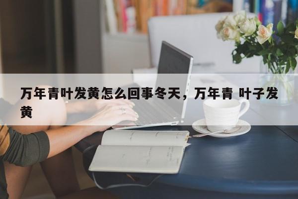 万年青叶发黄怎么回事冬天，万年青 叶子发黄-第1张图片-我家生活百科