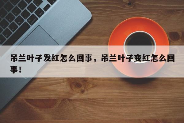 吊兰叶子发红怎么回事，吊兰叶子变红怎么回事！-第1张图片-我家生活百科