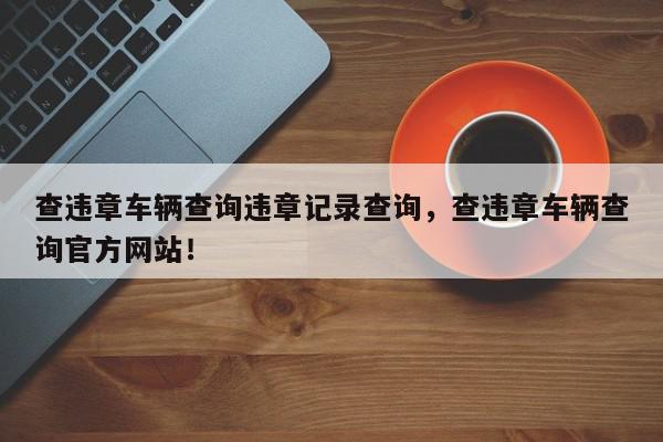 查违章车辆查询违章记录查询，查违章车辆查询官方网站！-第1张图片-我家生活百科