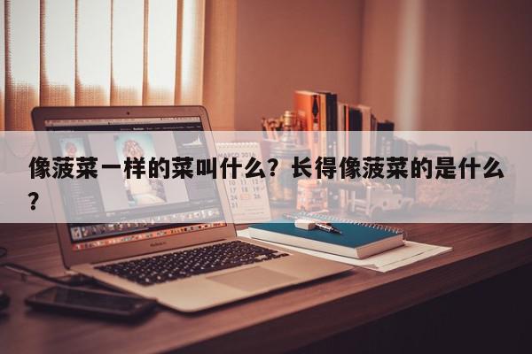 像菠菜一样的菜叫什么？长得像菠菜的是什么？-第1张图片-我家生活百科