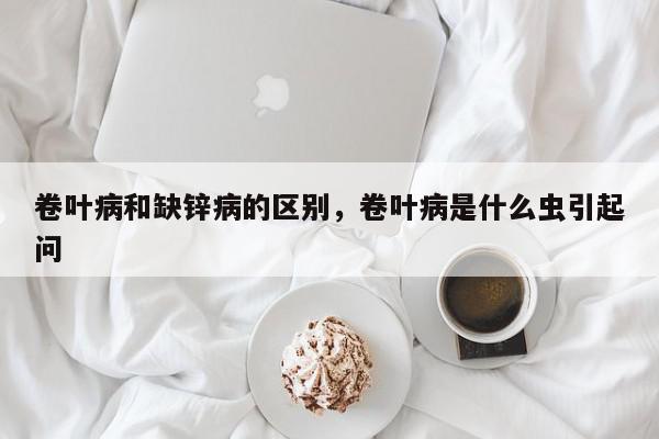 卷叶病和缺锌病的区别，卷叶病是什么虫引起问-第1张图片-我家生活百科