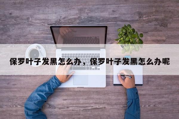 保罗叶子发黑怎么办，保罗叶子发黑怎么办呢-第1张图片-我家生活百科