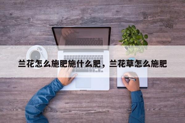 兰花怎么施肥施什么肥，兰花草怎么施肥-第1张图片-我家生活百科