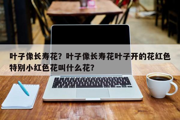 叶子像长寿花？叶子像长寿花叶子开的花红色特别小红色花叫什么花？-第1张图片-我家生活百科