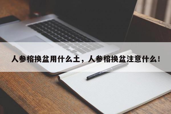 人参榕换盆用什么土，人参榕换盆注意什么！-第1张图片-我家生活百科