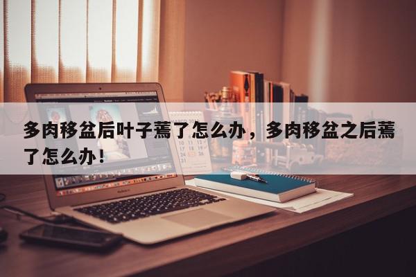 多肉移盆后叶子蔫了怎么办，多肉移盆之后蔫了怎么办！-第1张图片-我家生活百科